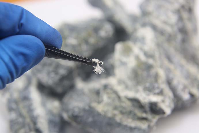 Asbestos Surveys